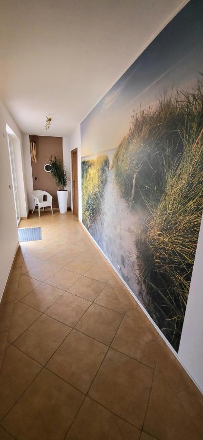 Emada- Pokoje Goscinne I Studia Ostrowo  Luaran gambar